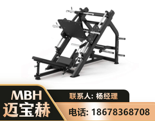 张掖45°倒蹬训练器