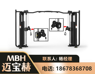 张掖大飞鸟训练器